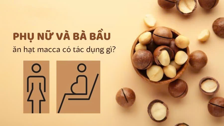 Tác dụng (công dụng) của hạt (quả) macca (mắc ca) với phụ nữ