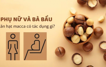 Tác dụng (công dụng) của hạt (quả) macca (mắc ca) với phụ nữ