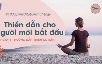 Thư Giãn và Tĩnh Lặng - Hành Trình Dẫn Thiền Trong Yoga