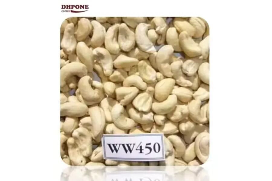 What Is Cashew Nut W450? Comparison with Other Cashew Nuts