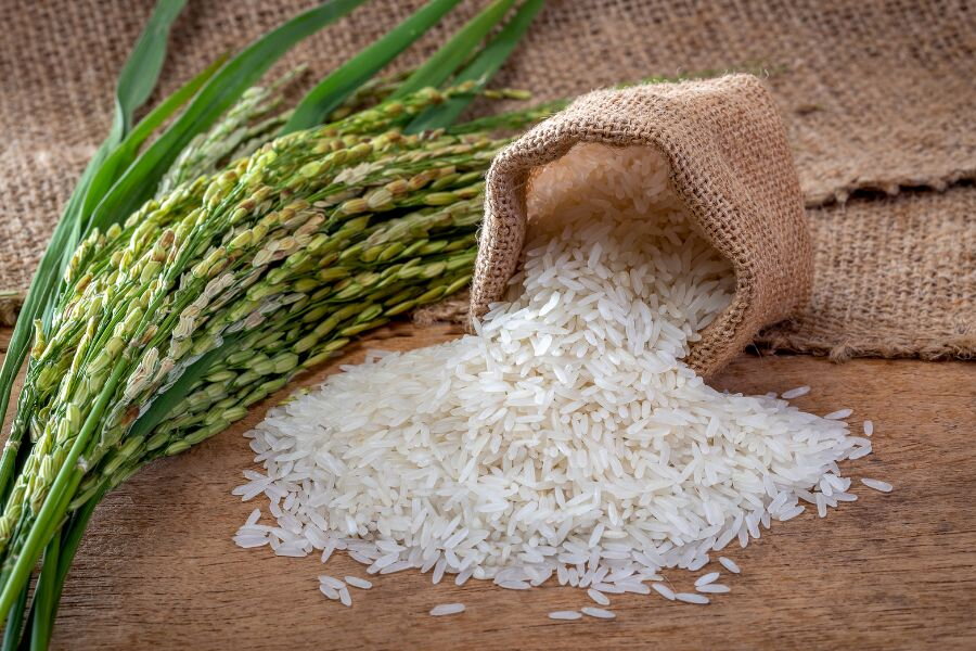 Gạo Basmati Ấn Độ – “Vua Gạo” Từ Đất Nước Nam Á Đến Mọi Bàn Ăn Hiện Đại