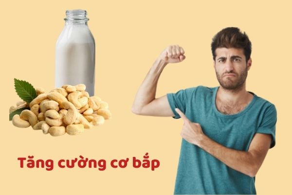 11 Công dụng tuyệt diệu của hạt điều có thể bạn chưa biết - Lê Minh Food